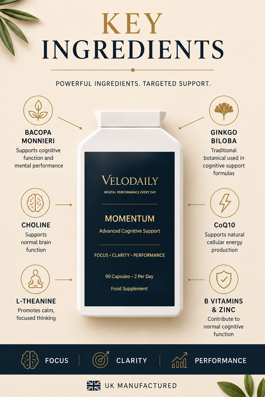 Velodaily Momentum — Cognitive Focus Supplement | 90 Capsules, 45-Day Supply