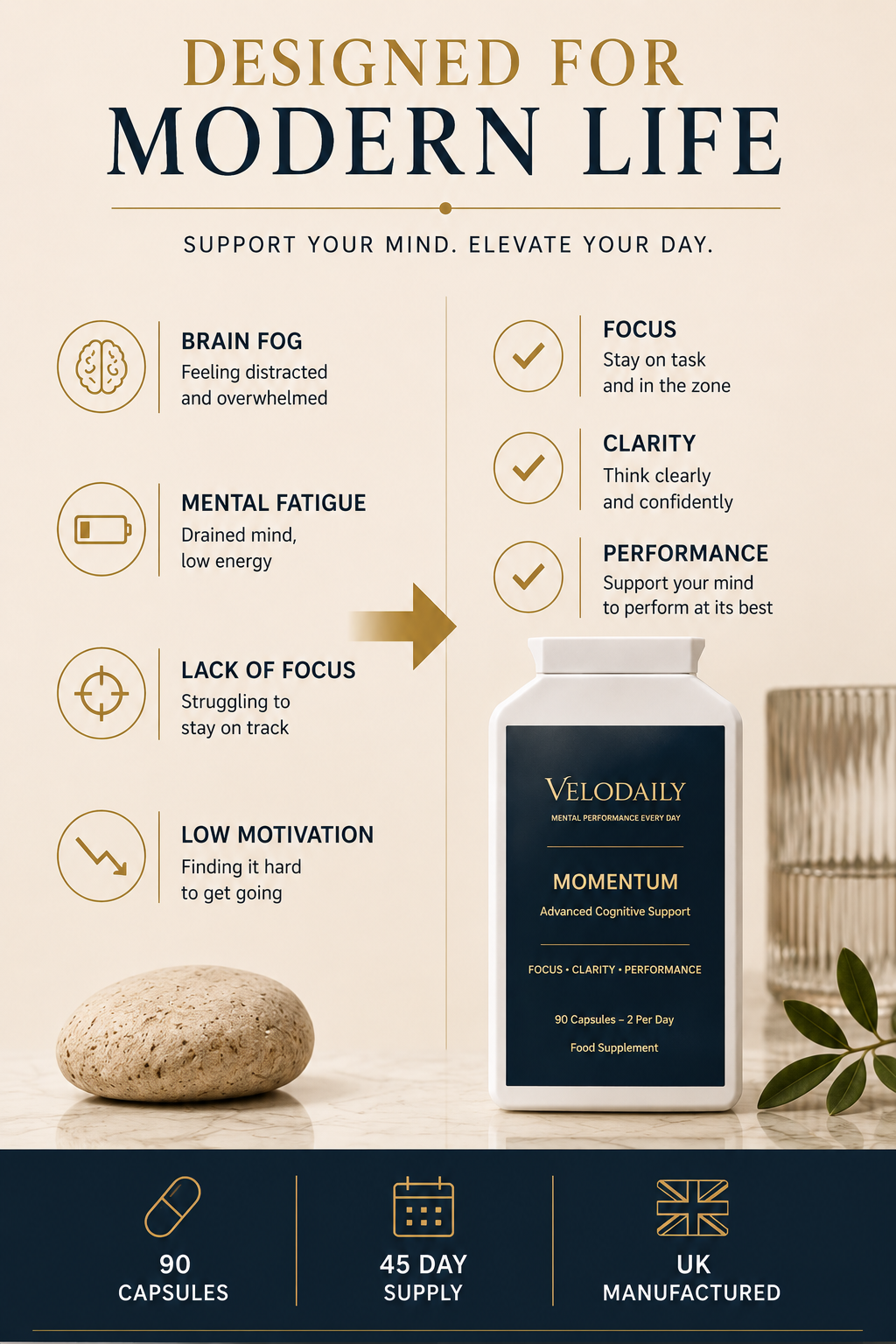 Velodaily Momentum — Cognitive Focus Supplement | 90 Capsules, 45-Day Supply