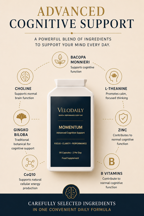 Velodaily Momentum — Cognitive Focus Supplement | 90 Capsules, 45-Day Supply
